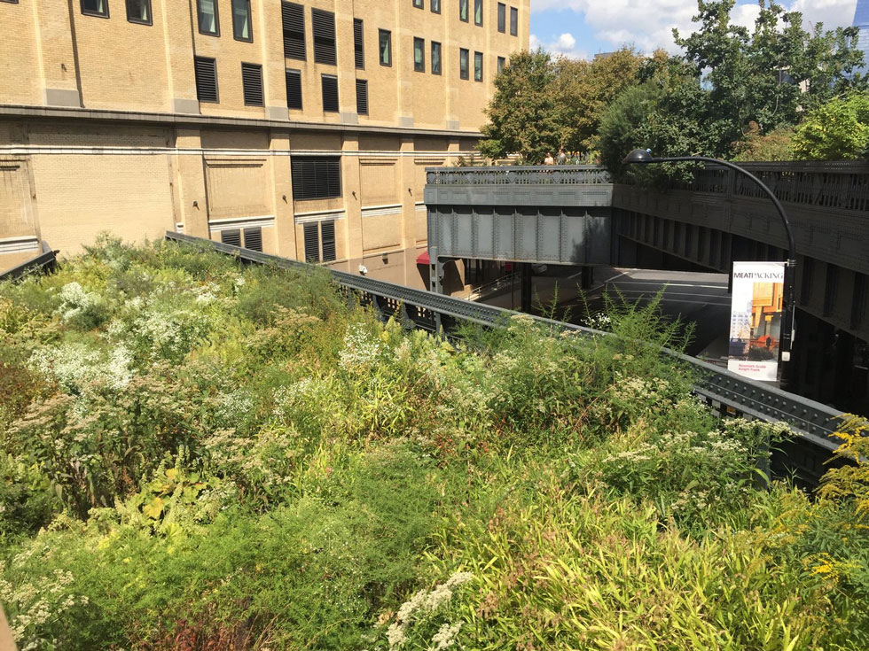 high-line-steel-structure-rail-yard-studios